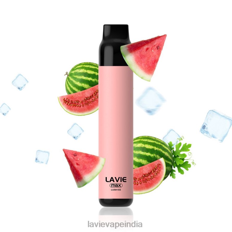 LAVIE Vape India - LAVIE BAR 5000 Puffs - MAX Lush Ice 40P84277